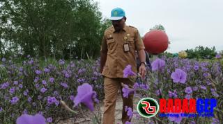 Objek Wisata Taman Jembatan Pedamaran Dikembangkan Pemkab Rohil Melalui Dinas Lingkungan Hidup 